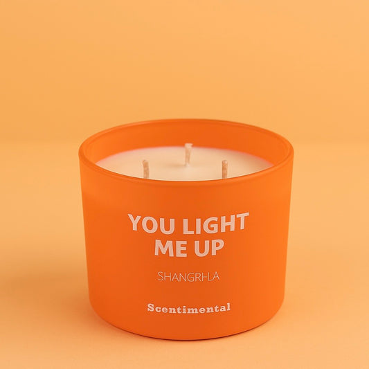 YOU LIGHT ME UP – 200G Shangri-la